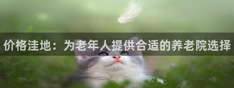 韦德下载