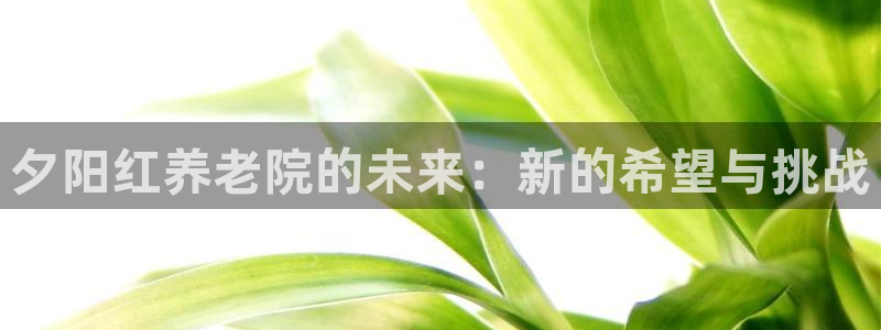 韦德com