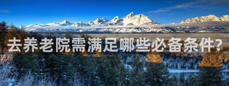 韦德的地位