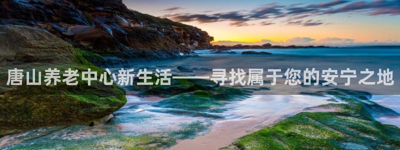 韦德1946下载