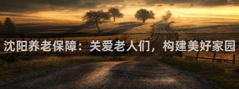 韦德属于什么